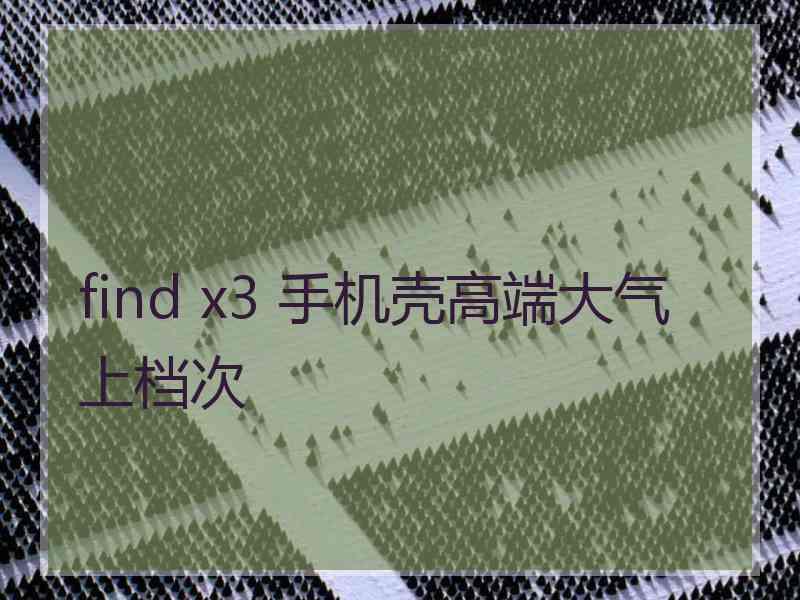 find x3 手机壳高端大气上档次