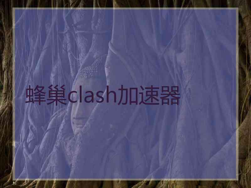 蜂巢clash加速器