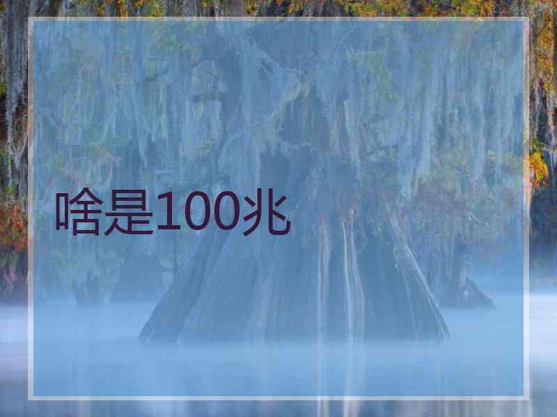 啥是100兆