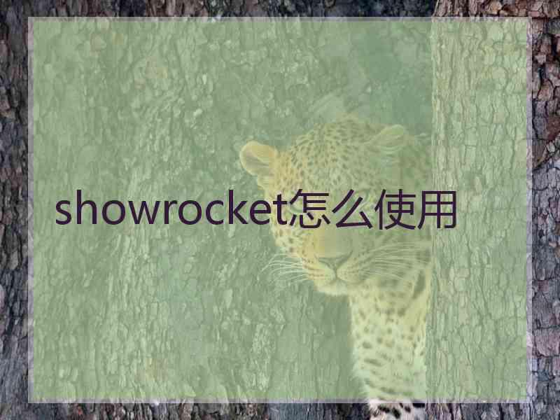 showrocket怎么使用