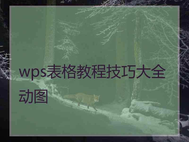 wps表格教程技巧大全动图