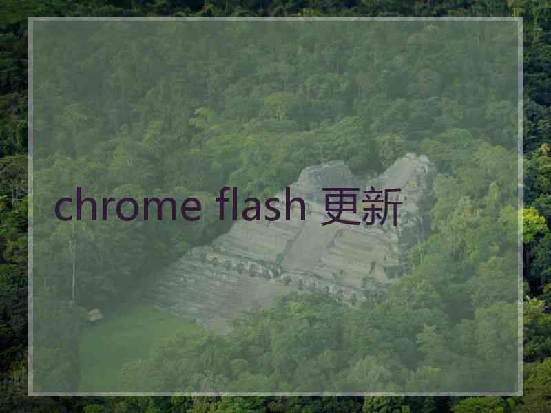 chrome flash 更新