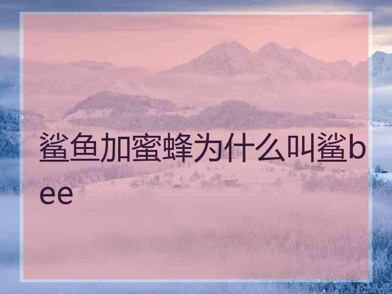 鲨鱼加蜜蜂为什么叫鲨bee