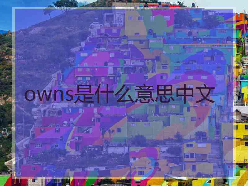 owns是什么意思中文