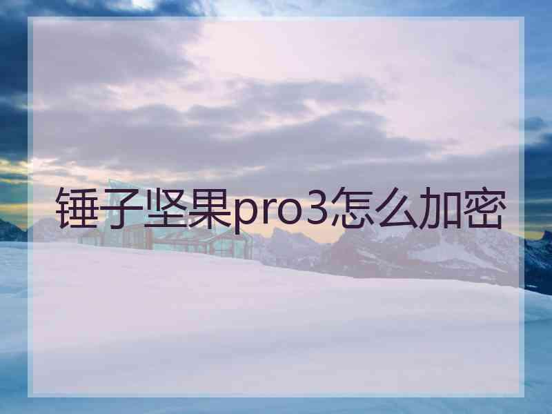 锤子坚果pro3怎么加密