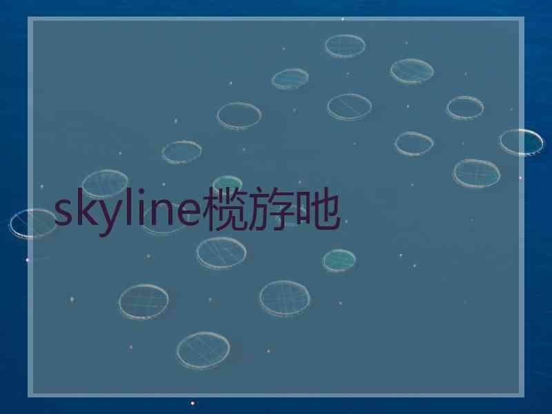 skyline榄斿吔