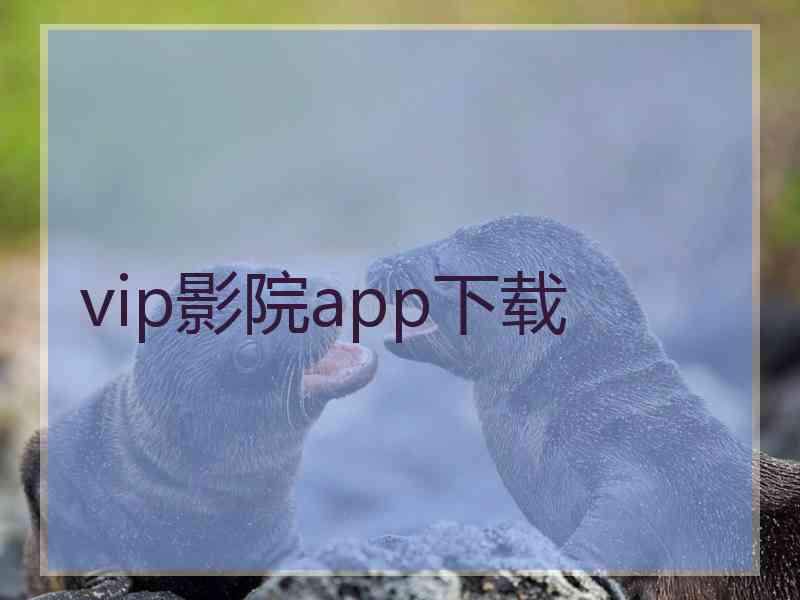 vip影院app下载