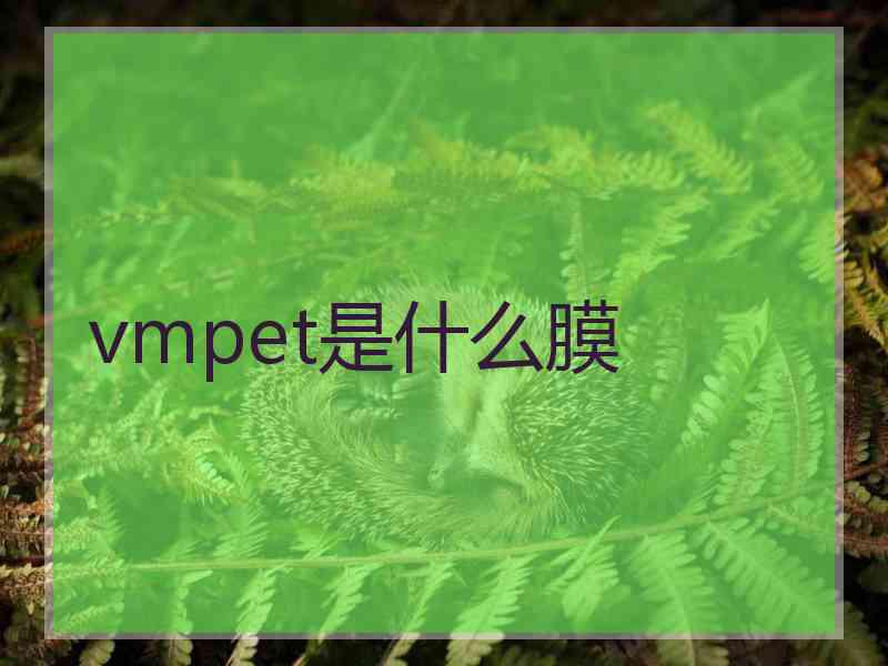 vmpet是什么膜