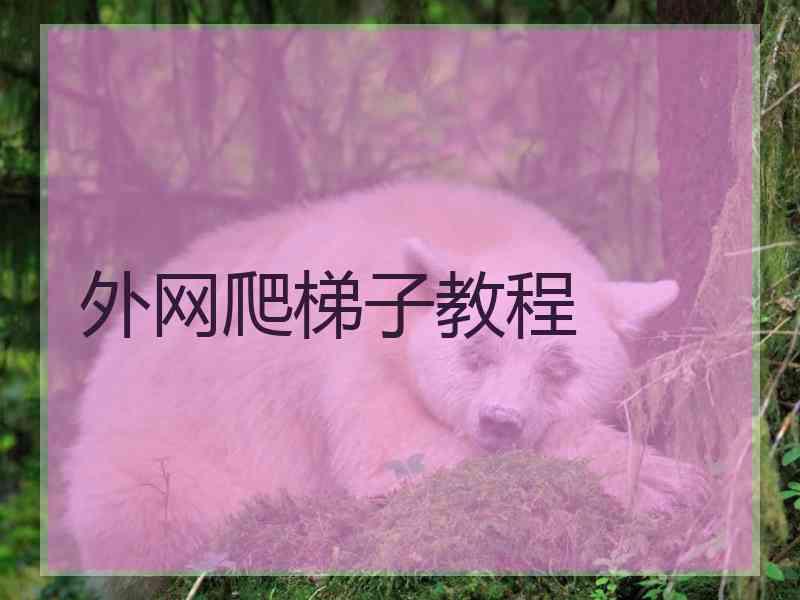 外网爬梯子教程