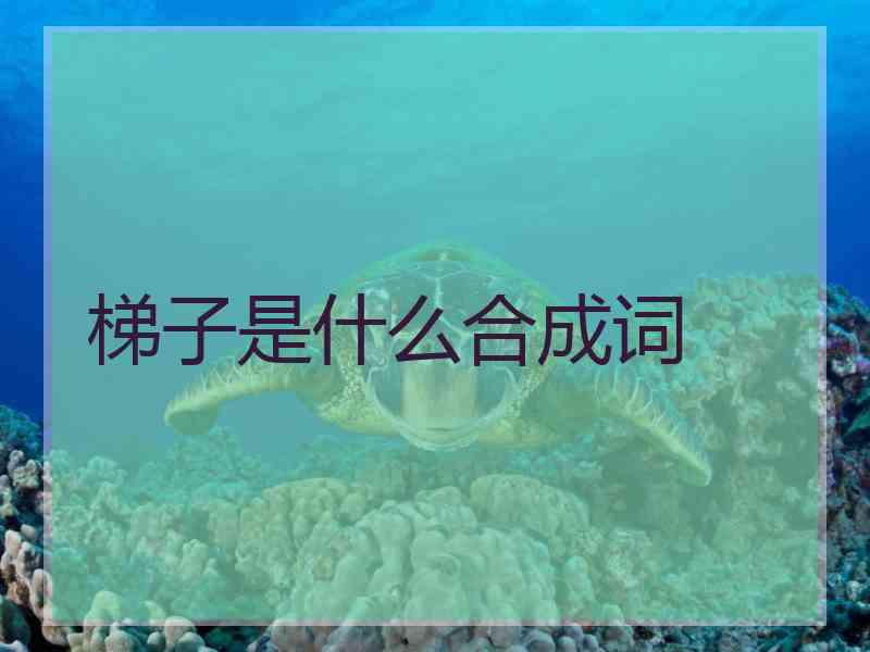 梯子是什么合成词