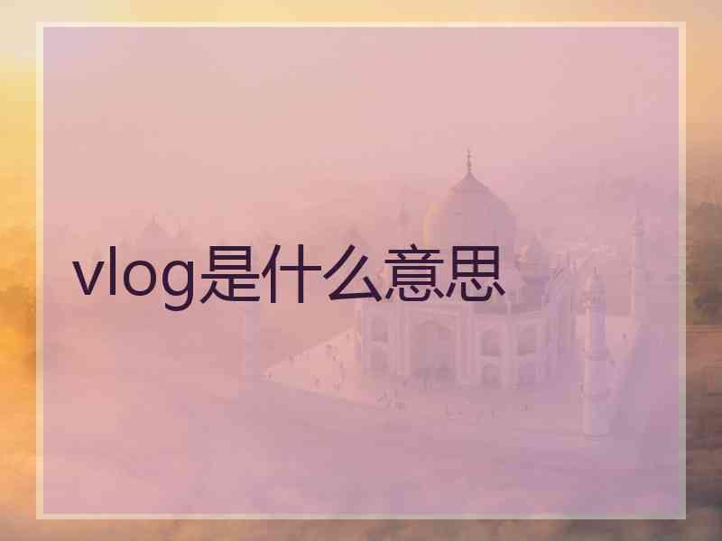 vlog是什么意思