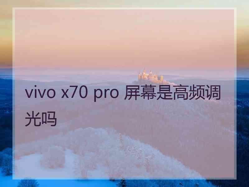 vivo x70 pro 屏幕是高频调光吗