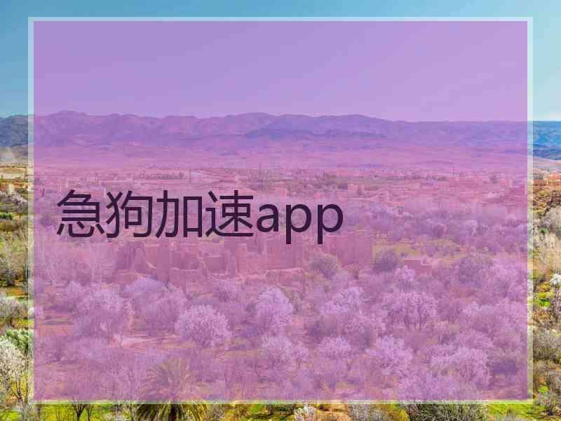 急狗加速app