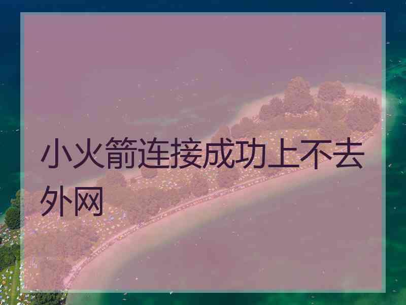 小火箭连接成功上不去外网