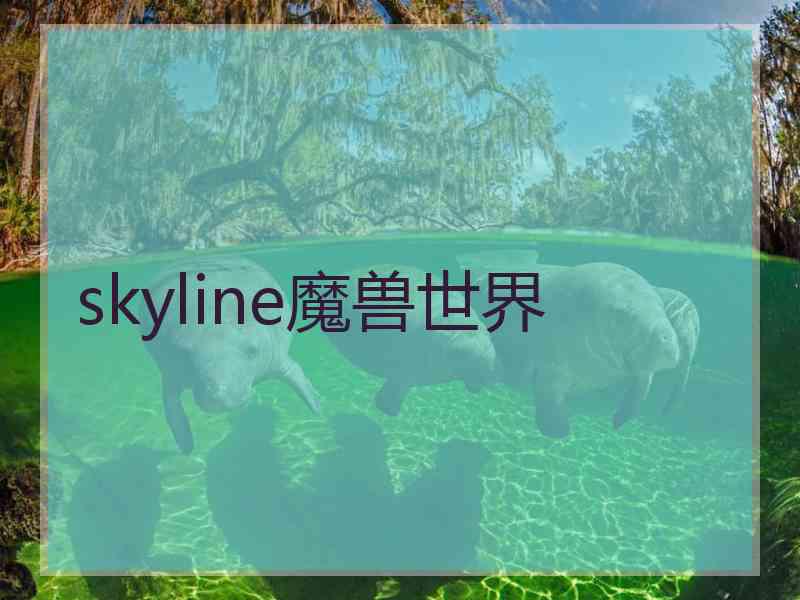 skyline魔兽世界