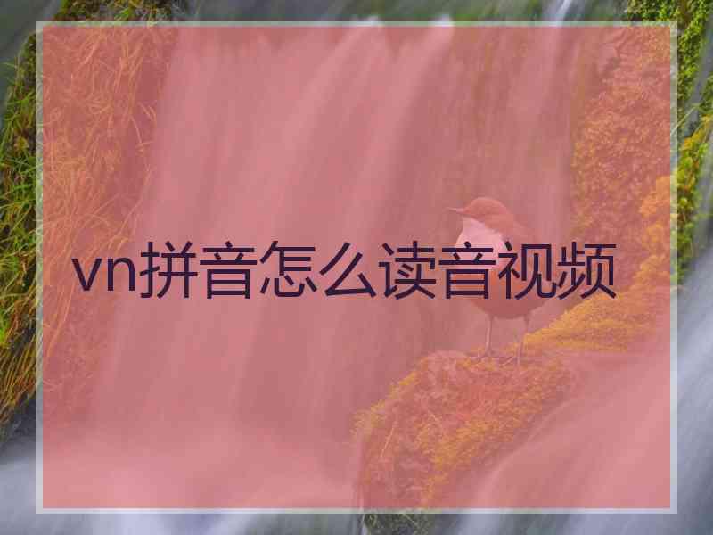 vn拼音怎么读音视频