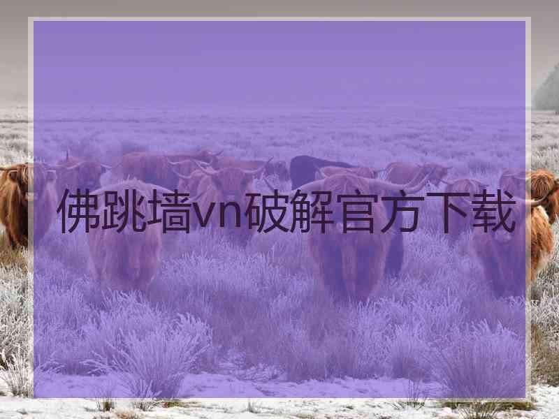 佛跳墙vn破解官方下载