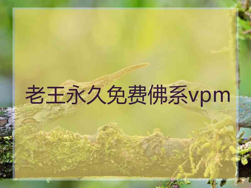 老王永久免费佛系vpm