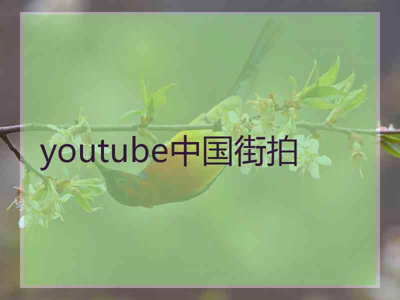 youtube中国街拍