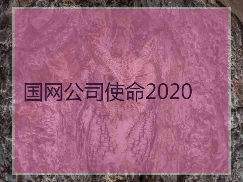 国网公司使命2020