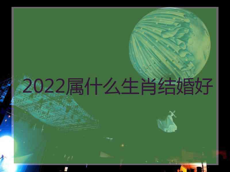 2022属什么生肖结婚好