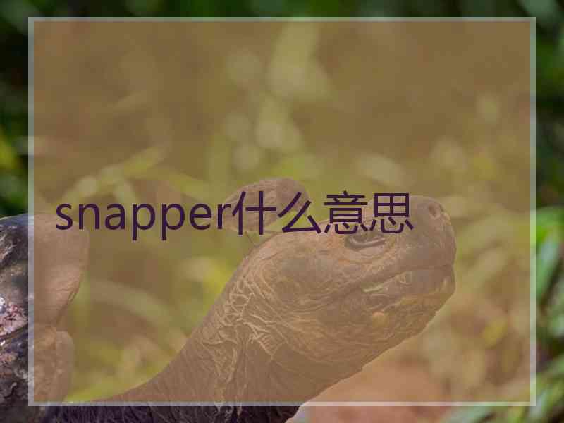 snapper什么意思