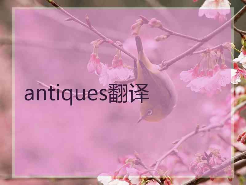 antiques翻译