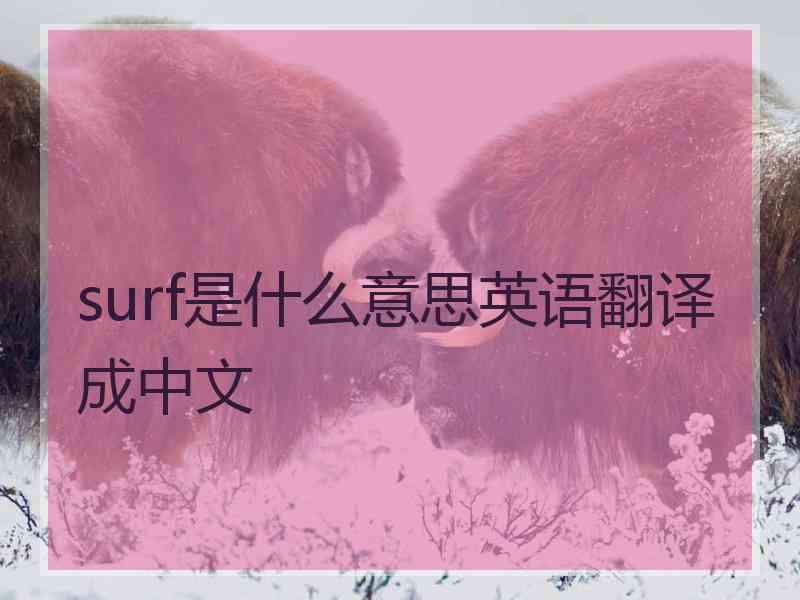 surf是什么意思英语翻译成中文