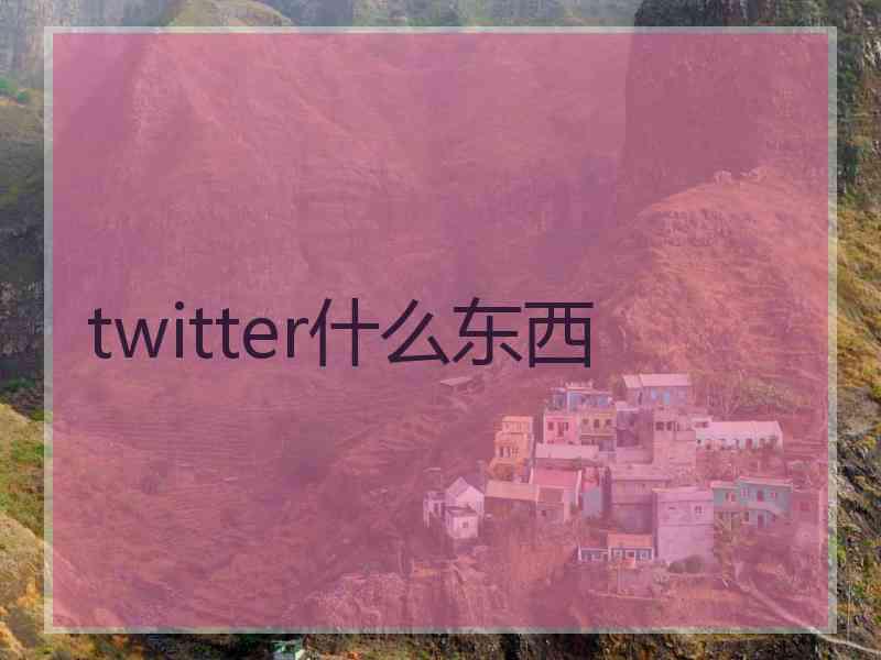 twitter什么东西