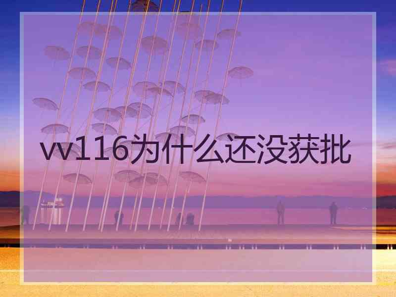 vv116为什么还没获批