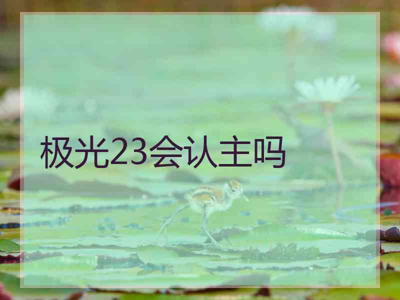 极光23会认主吗