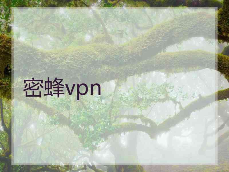 密蜂vpn