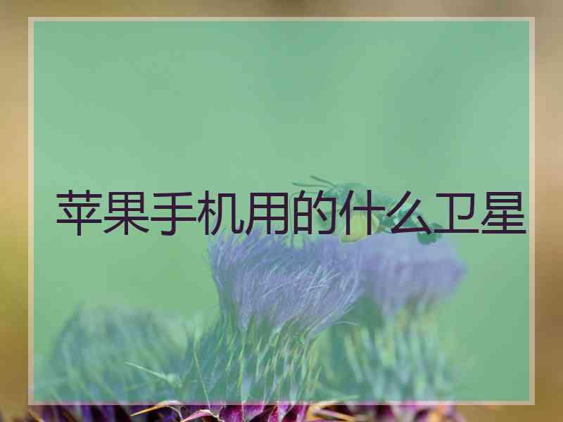 苹果手机用的什么卫星