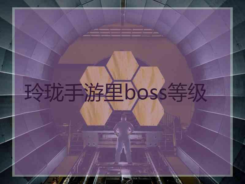 玲珑手游里boss等级