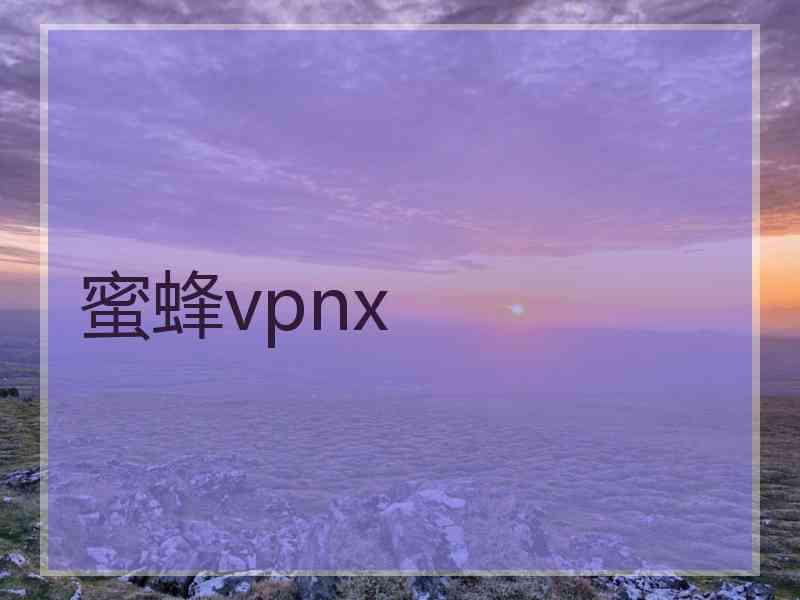 蜜蜂vpnx