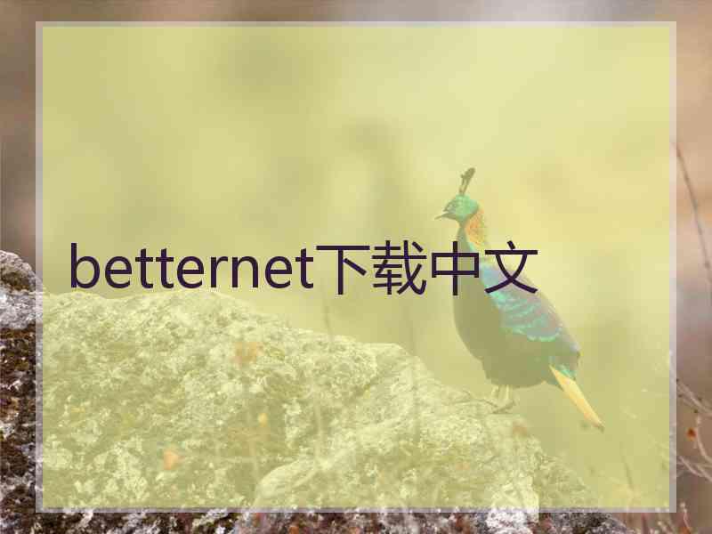 betternet下载中文