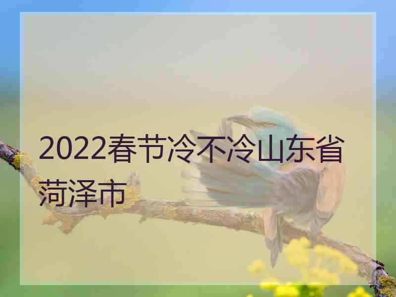 2022春节冷不冷山东省菏泽市