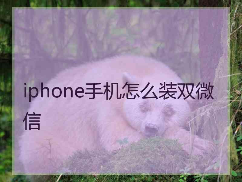 iphone手机怎么装双微信