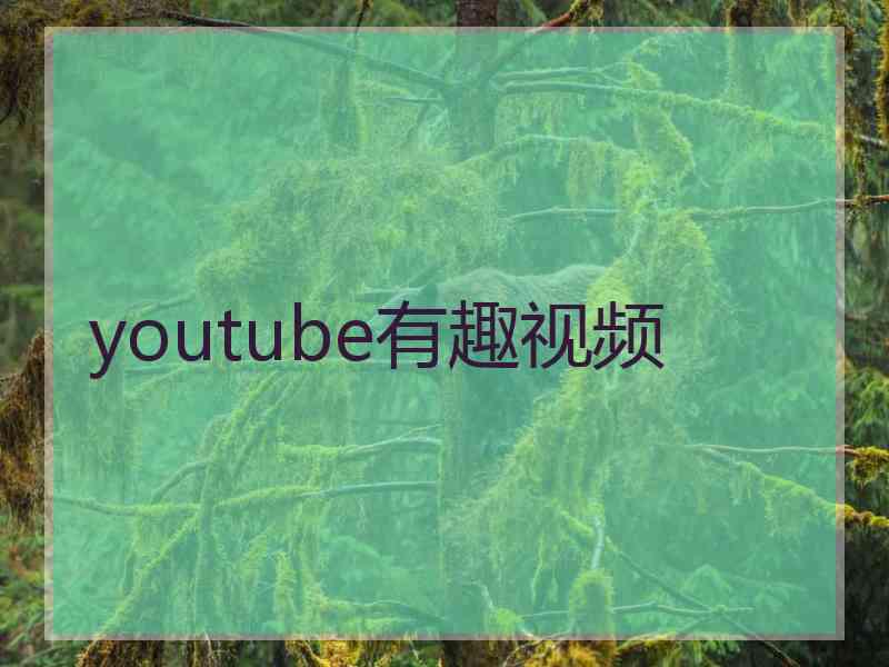 youtube有趣视频