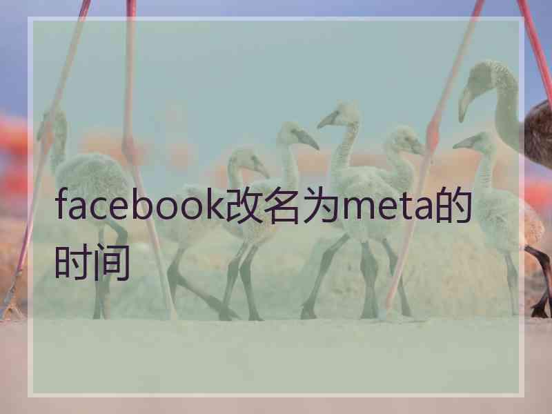 facebook改名为meta的时间