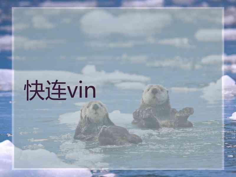 快连vin