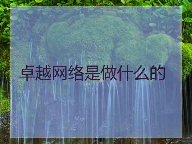 卓越网络是做什么的