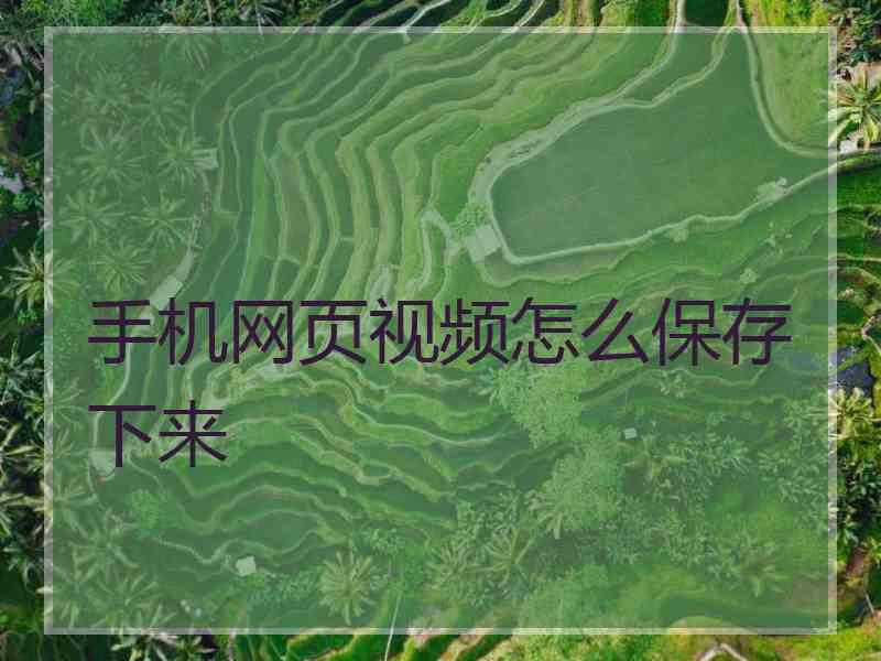 手机网页视频怎么保存下来