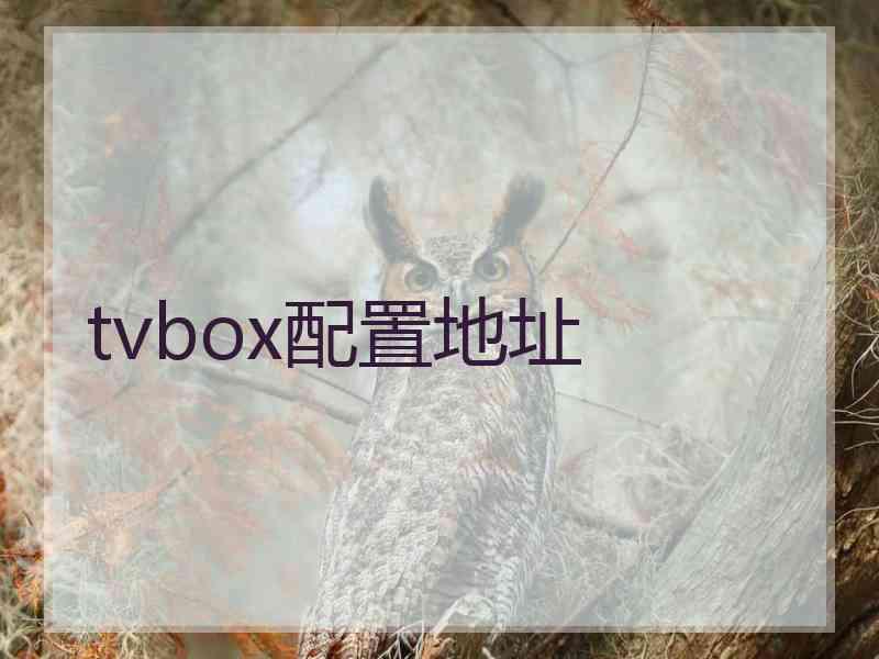 tvbox配置地址