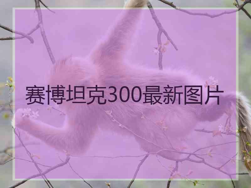 赛博坦克300最新图片