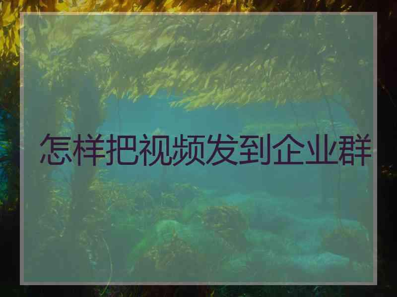 怎样把视频发到企业群