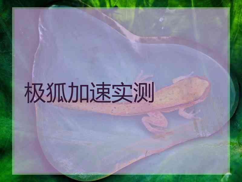 极狐加速实测