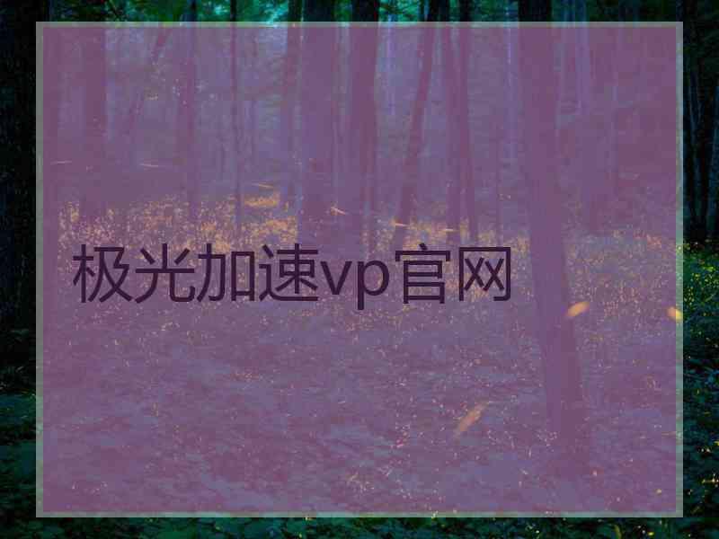 极光加速vp官网