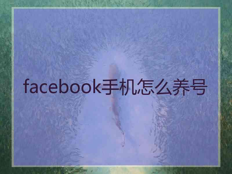 facebook手机怎么养号