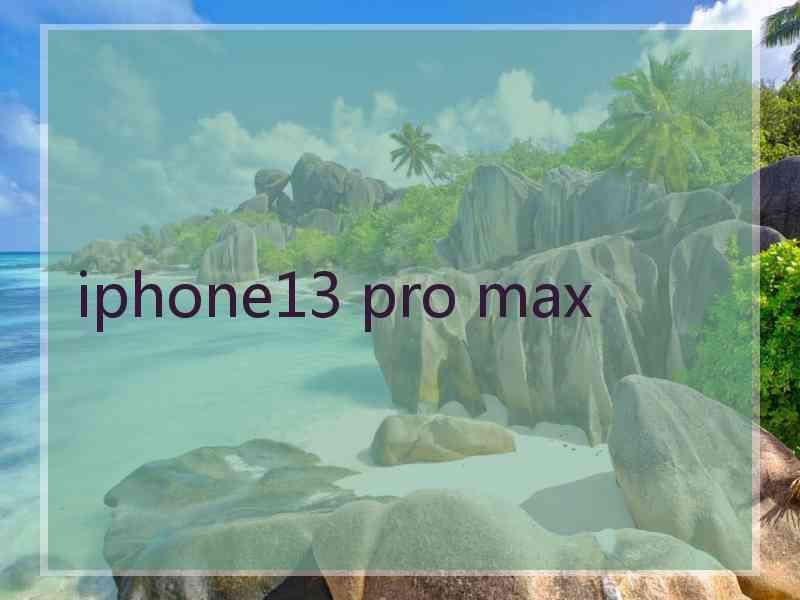 iphone13 pro max